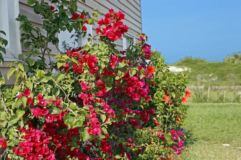 Beachfront Bed & Breakfast