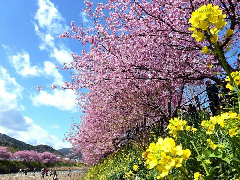 Apartamento Laforet Shuzenji Sanshisuimei