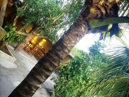 Hostal Pousada �gua De C�co