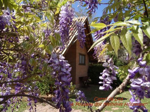 Hostal Canto Da Lua Chal�s E Api�rio