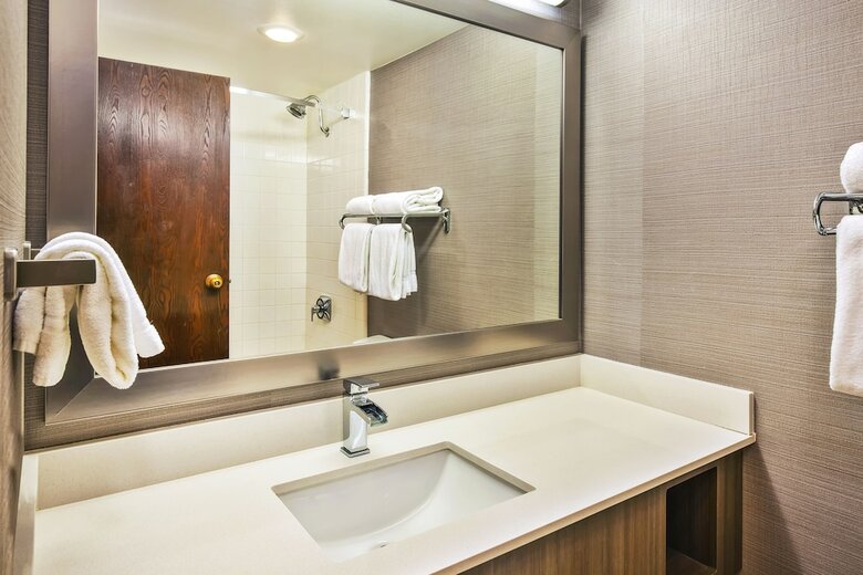 Hotel Holiday Inn Rapid City-rushmore Plaza