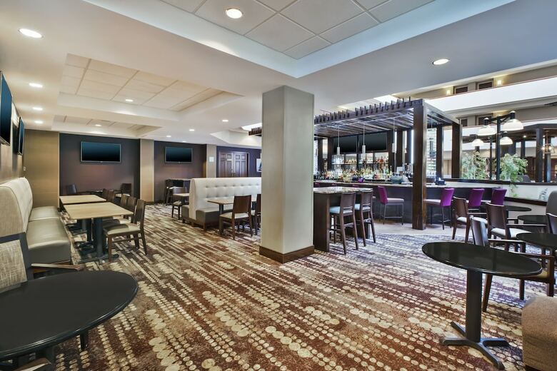 Hotel Holiday Inn Rapid City-rushmore Plaza
