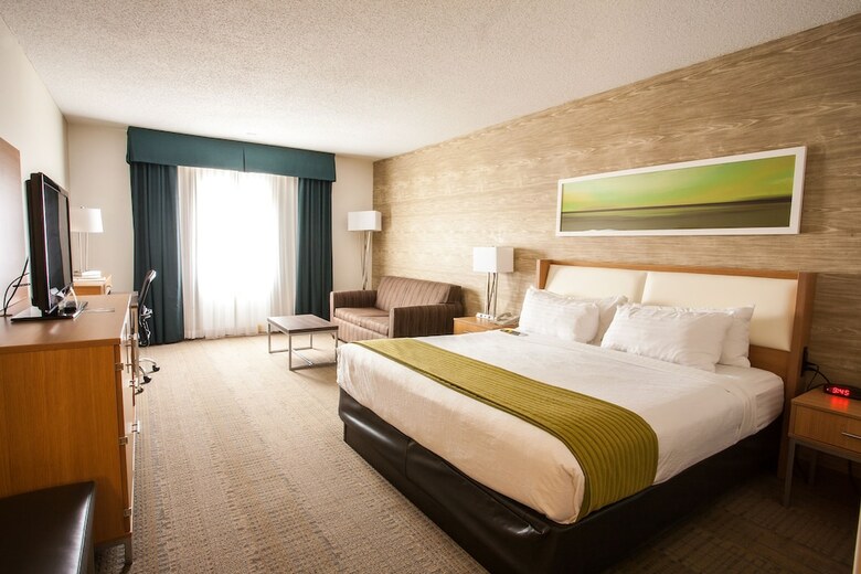 Hotel Holiday Inn Rapid City-rushmore Plaza