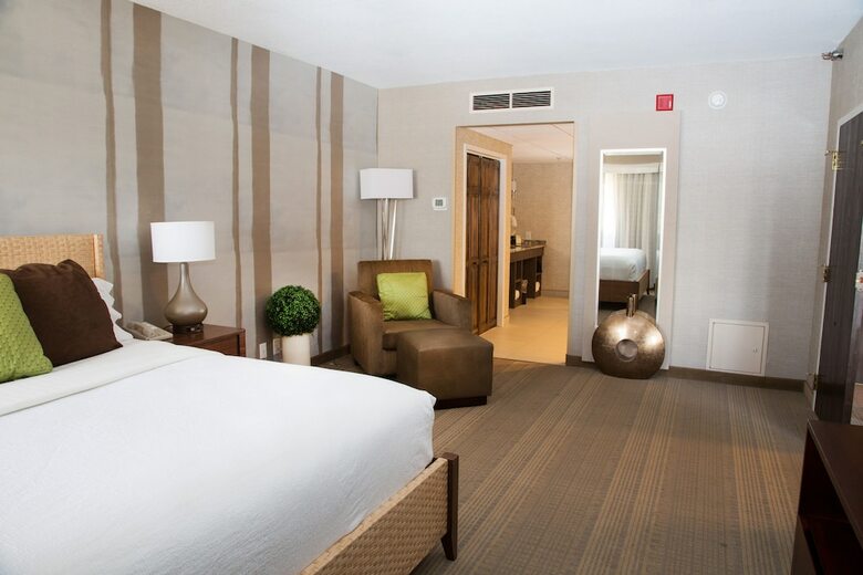 Hotel Holiday Inn Rapid City-rushmore Plaza