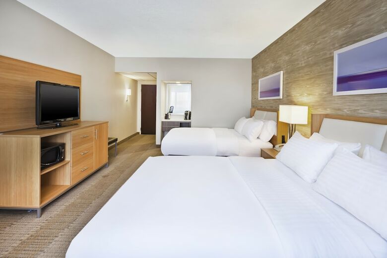 Hotel Holiday Inn Rapid City-rushmore Plaza