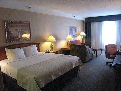 Hotel Holiday Inn Rapid City-rushmore Plaza
