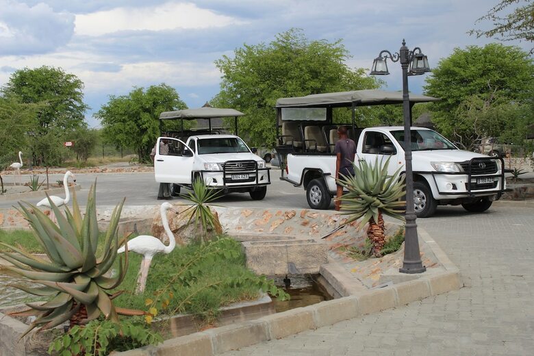 Posada Pelican Lodge And Camping