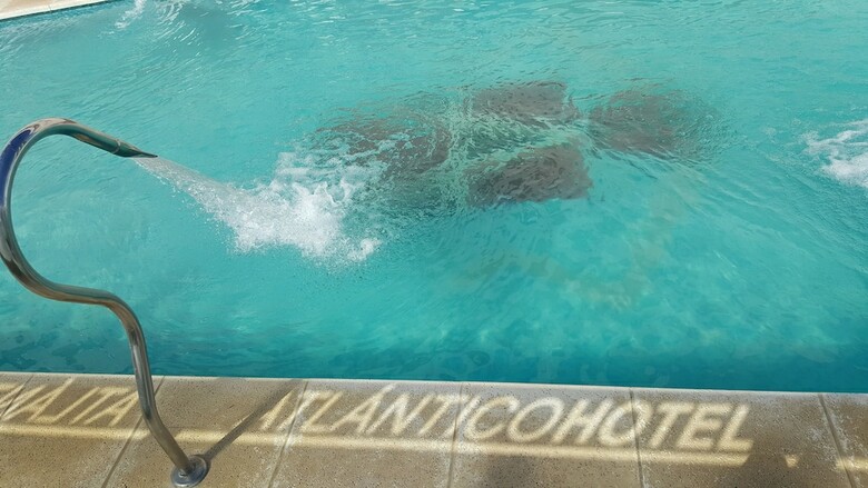 Atlantico Hotel
