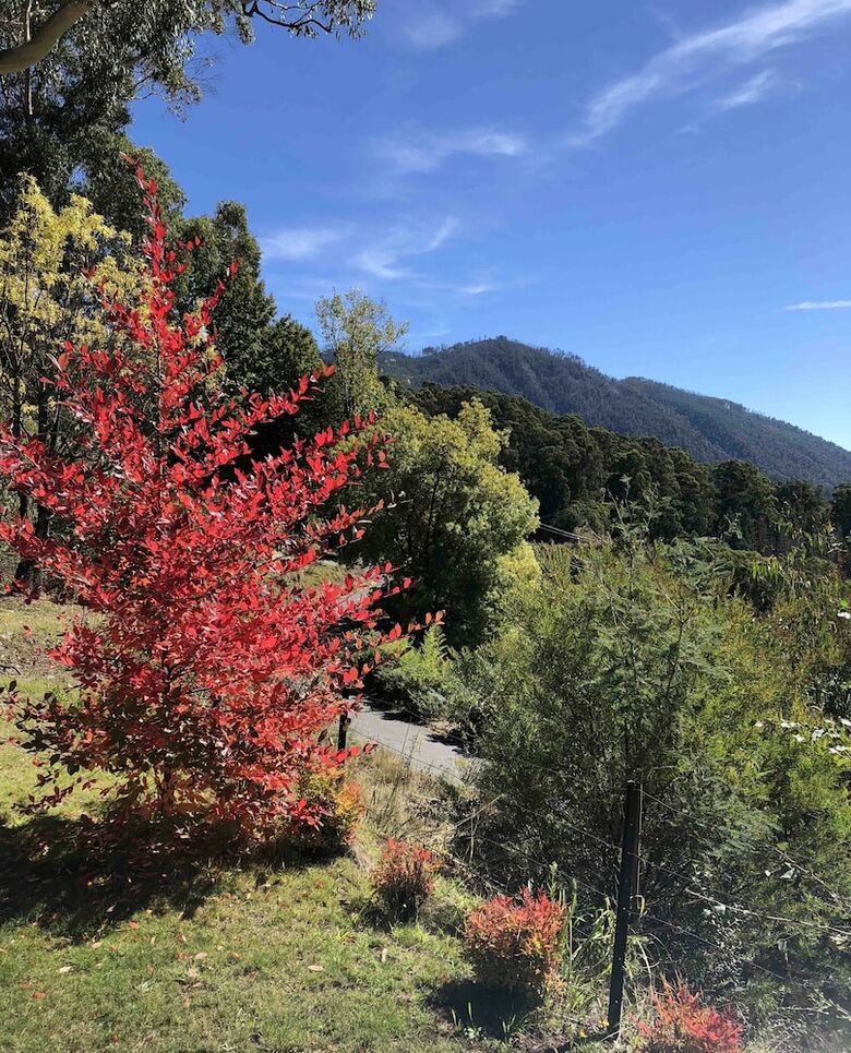 Bogong Village