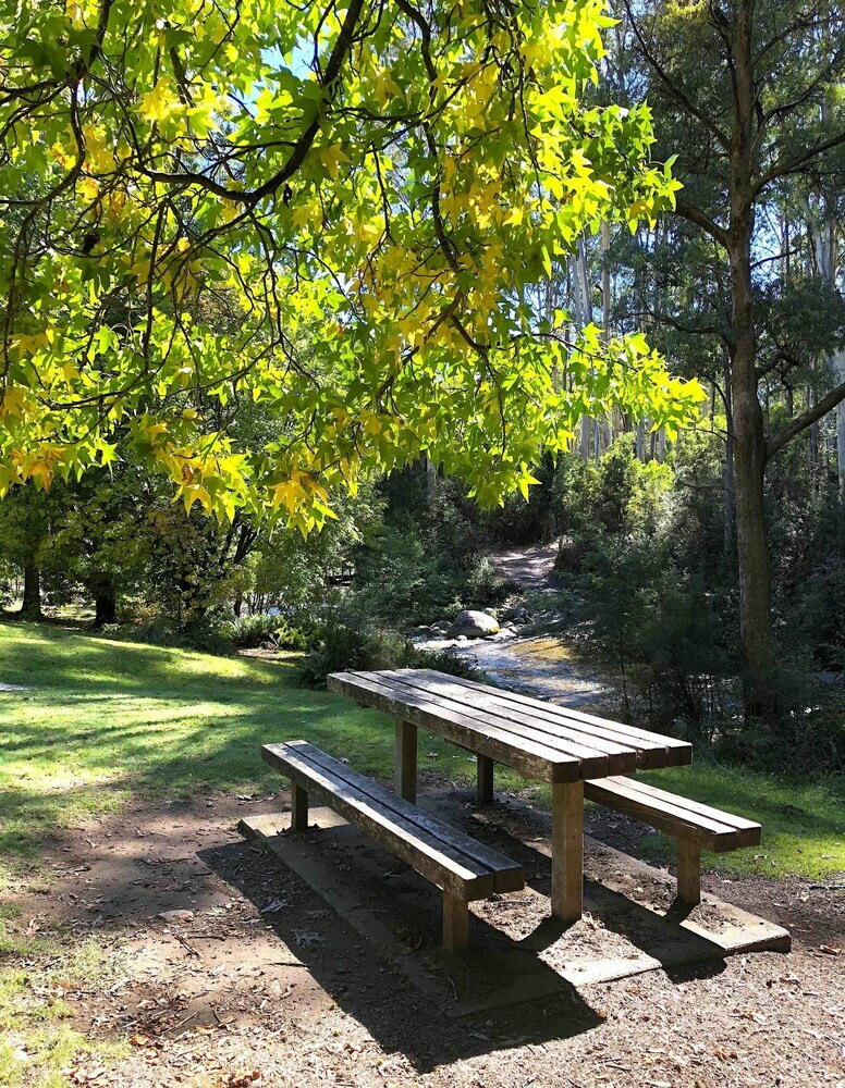 Bogong Village