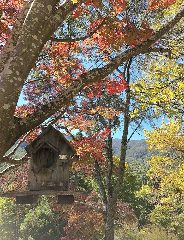 Bogong Village