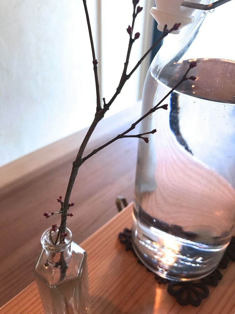 Uji Ichibanyado Nigauri