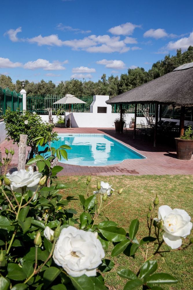 Agroturismo Olive Grove Guest Farm