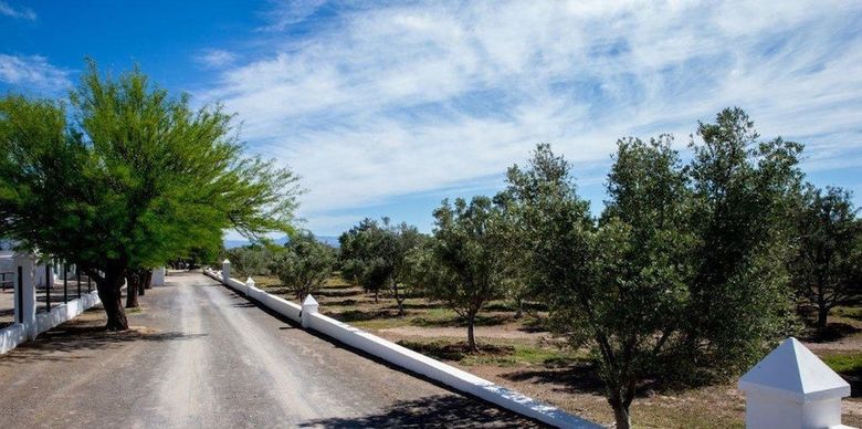 Agroturismo Olive Grove Guest Farm
