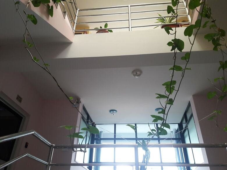 Hotel The Boudha Inn