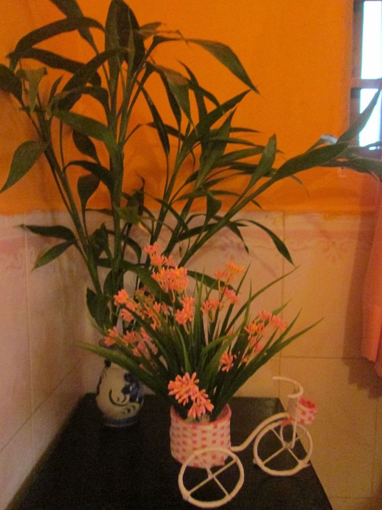 Hotel Eco-home