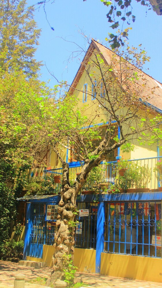 Hostal Posada Del Maple - Hostel