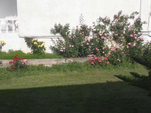 Mariliza Beach Hotel