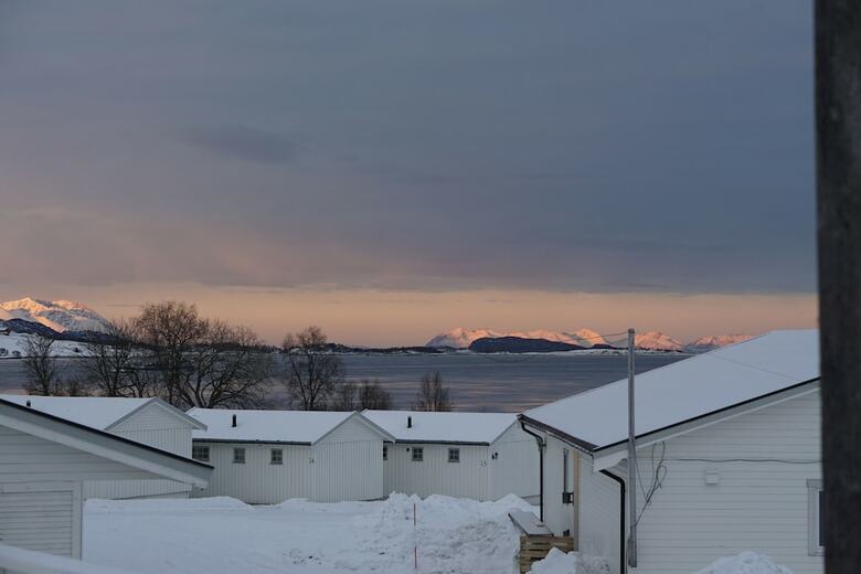 Tjeldsundbrua Camping
