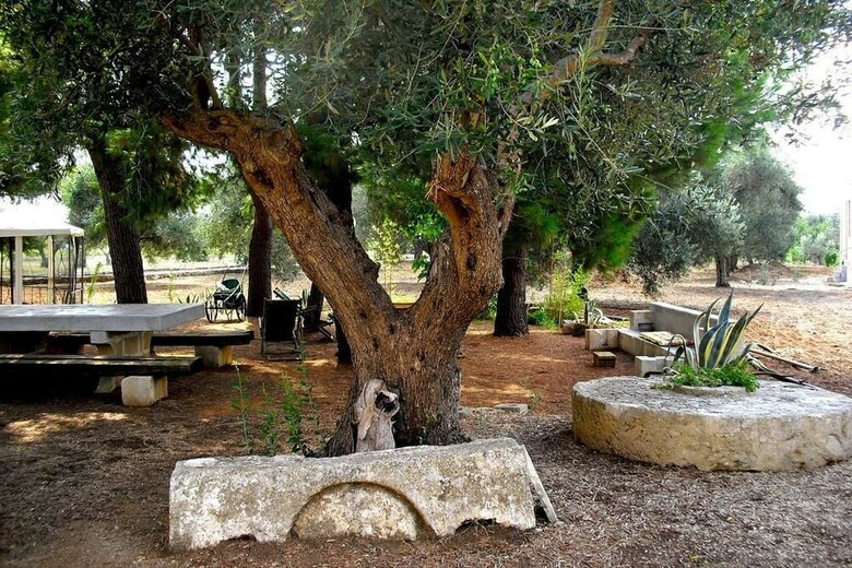 Bed & Breakfast Masseria Tornesella
