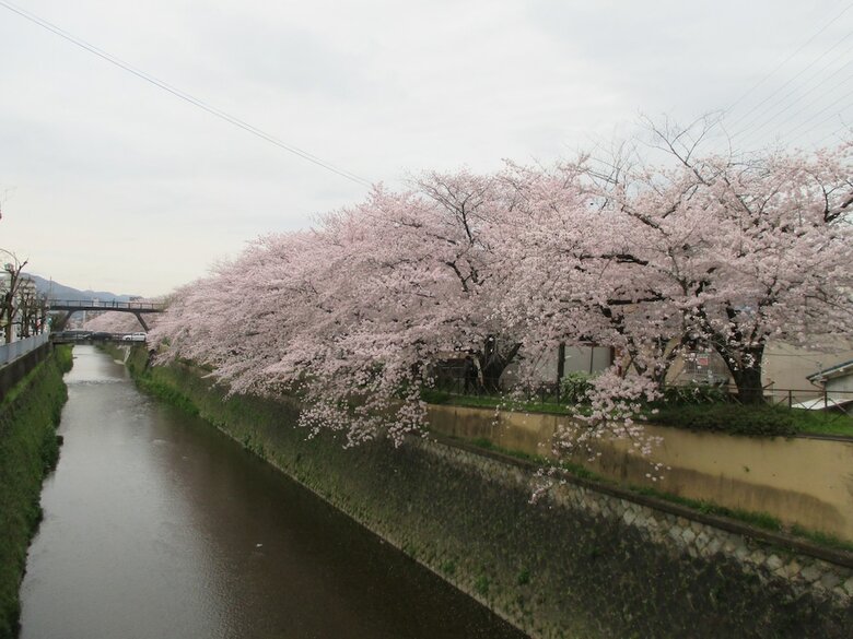Aparthotel Estate Tokyu Nishikyogoku