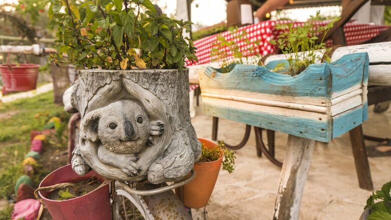 Hotel Koala Bungalows