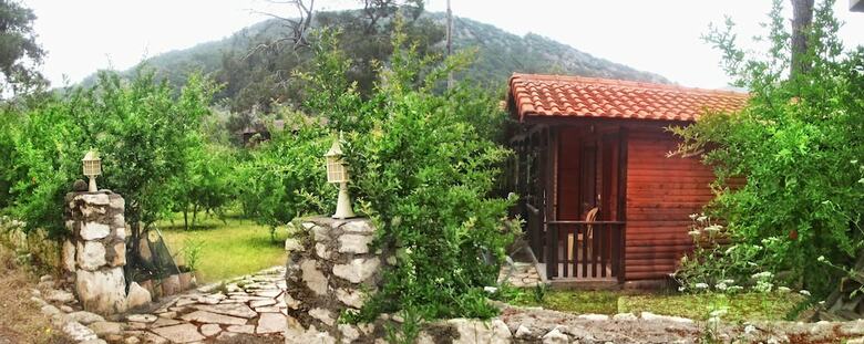 Hotel Koala Bungalows