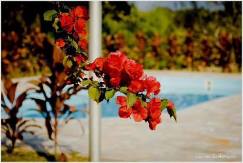 Hostal Casas Di Monte Ecopousada