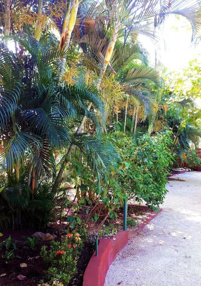 Casa Mapache B&B