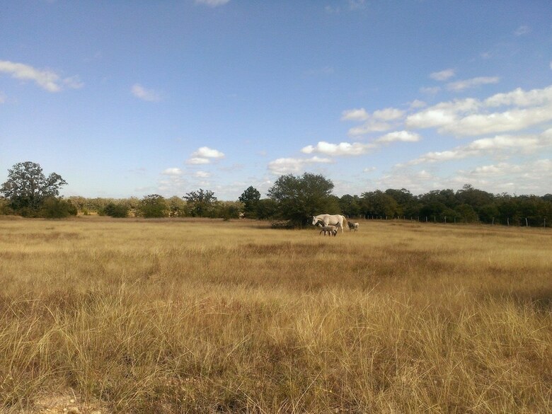Bed & Breakfast Night Bird Ranch