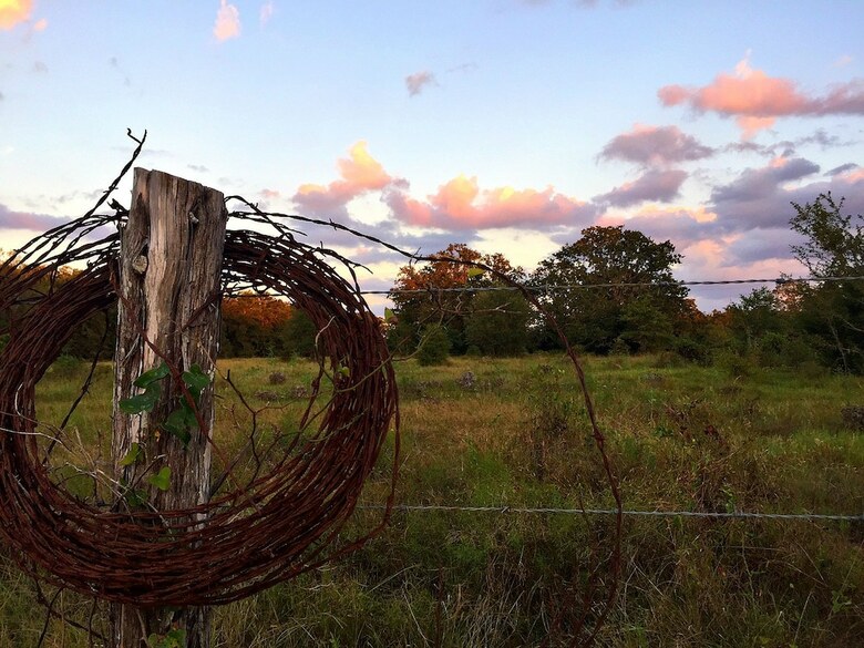 Bed & Breakfast Night Bird Ranch