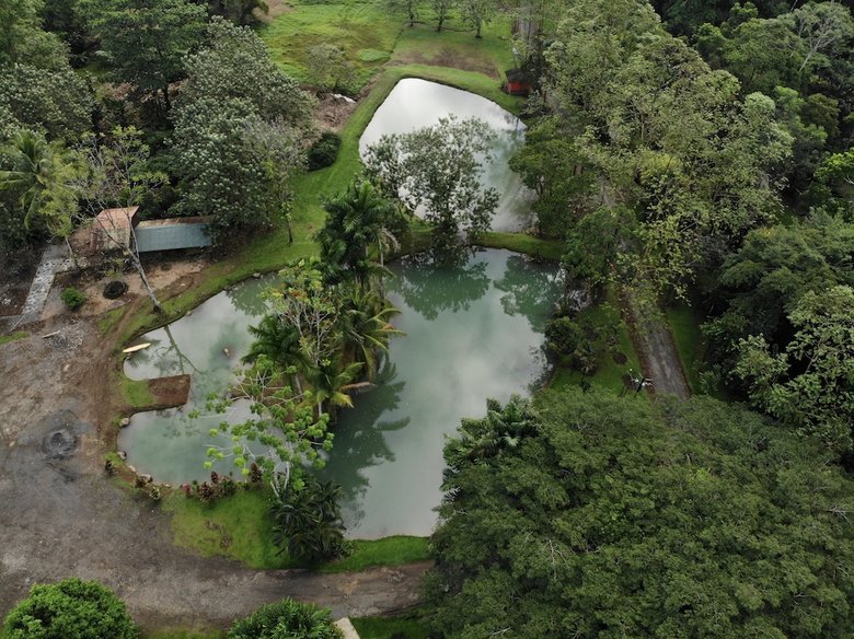Posada Chachagua Rainforest Eco Lodge