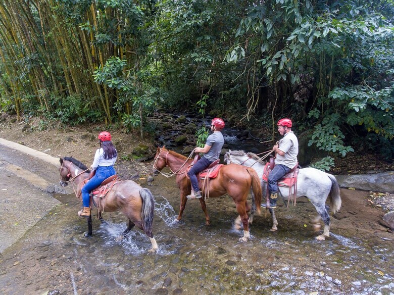 Posada Chachagua Rainforest Eco Lodge