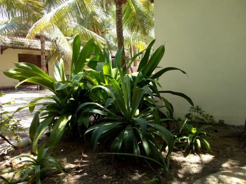 Hostal S�tio Maleleo