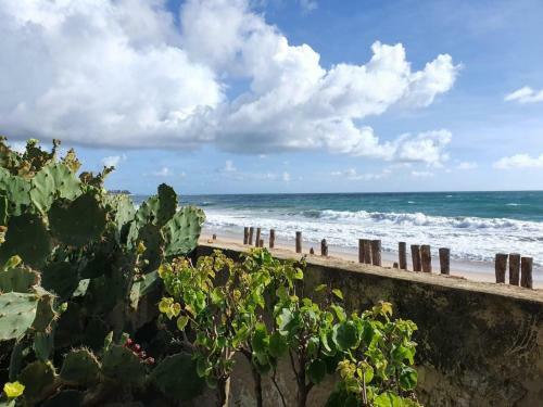 Hostal S�tio Maleleo