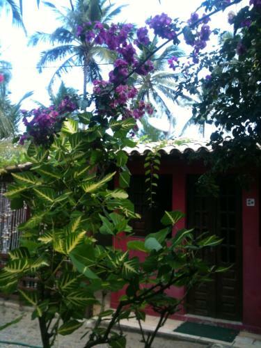 Hostal S�tio Maleleo