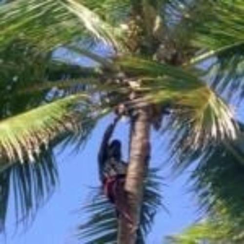 Hostal S�tio Maleleo