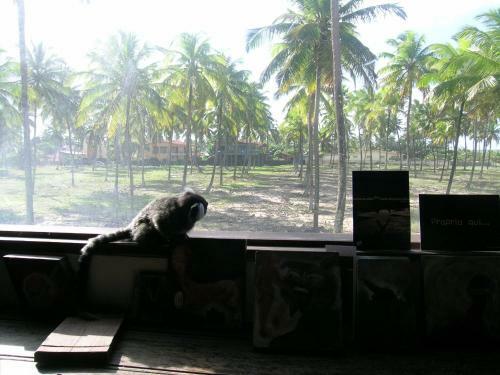 Hostal S�tio Maleleo