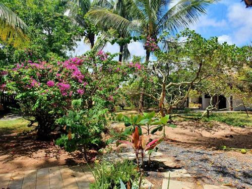 Hostal S�tio Maleleo
