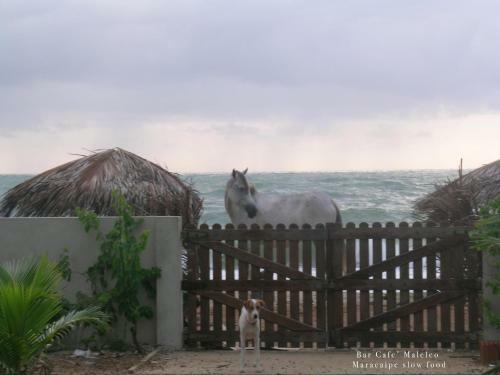 Hostal S�tio Maleleo