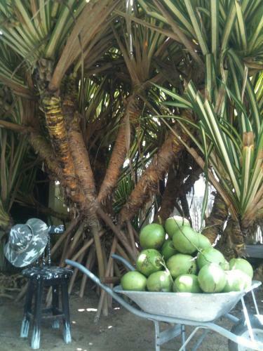 Hostal S�tio Maleleo