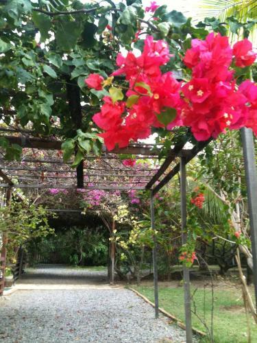 Hostal S�tio Maleleo