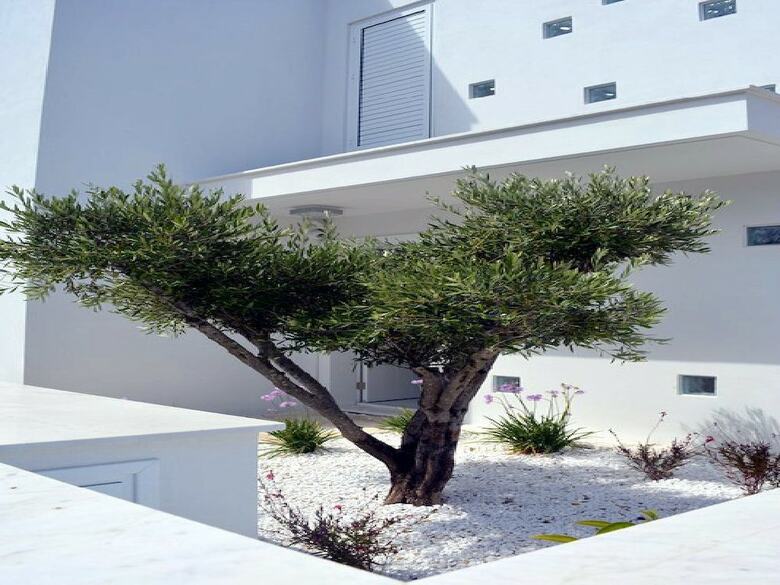 Protaras Seafront Villa Eponine
