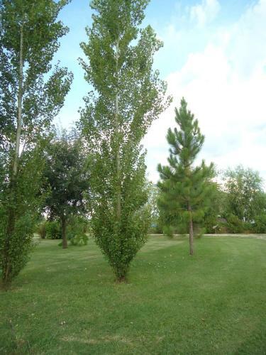 Lodge Caba�as Los Girasoles