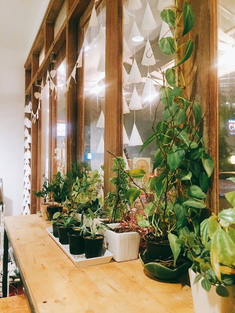 Hostal Rimnim Hostel