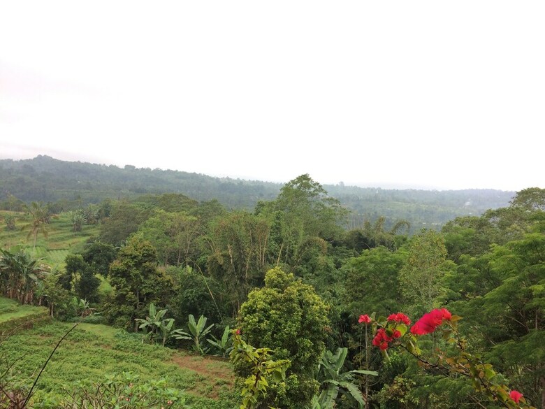 Pacung Indah Hotel And Restaurant