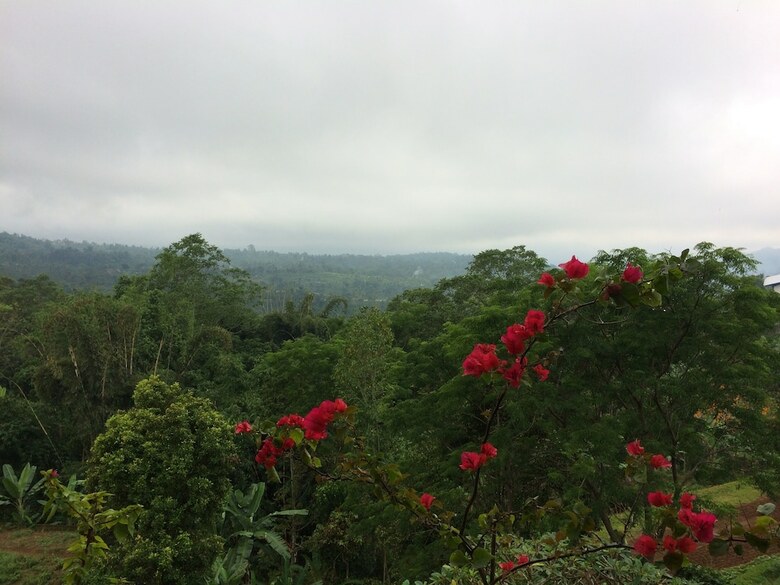 Pacung Indah Hotel And Restaurant