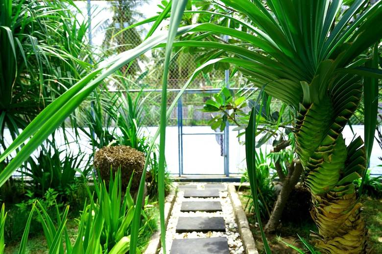 Hotel Gili Luxury Villa