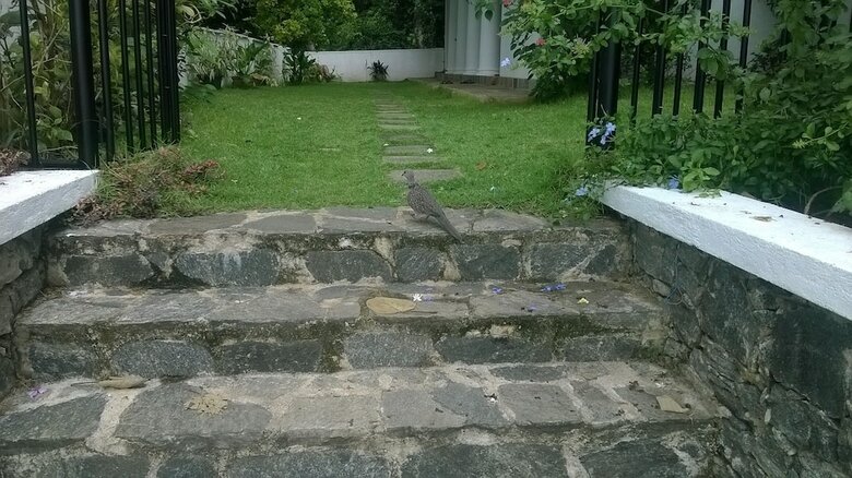 Villa Kandy Holiday Residence