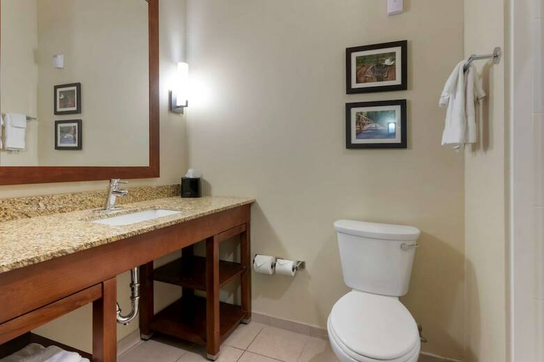 Hotel Comfort Suites